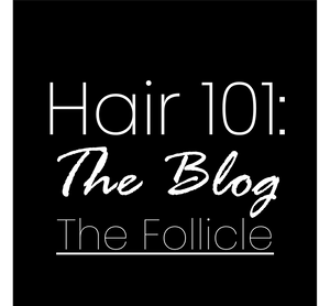 Hair 101: The Follicle